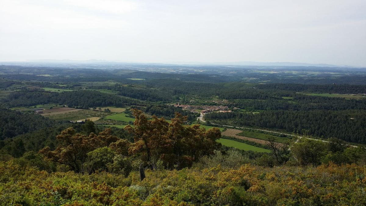 Terrades des de Santa Magdalena