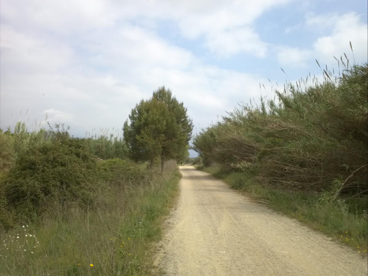 Un tram del camí