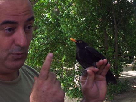 Merla i Jordi Rodríguez de l'ALOC